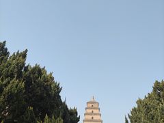 -大慈恩寺(大雁塔)