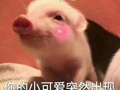 -东北师大净月校区食堂