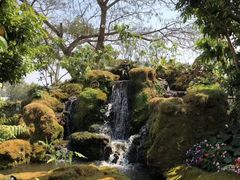 -Chom Cafe and Restaurant