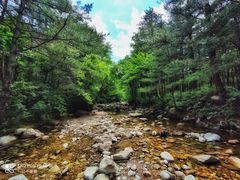 -黑河国家森林公园