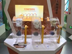 -甘肃科技馆