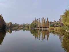 -云南民族村