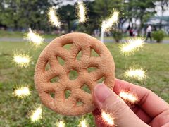 -东莞植物园