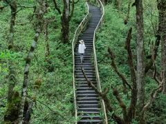 -龙苍沟森林公园
