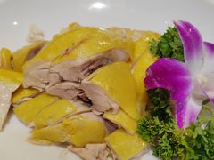 -阿巧一号私房菜(止园路店)