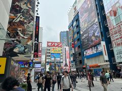 -秋叶原电器街
