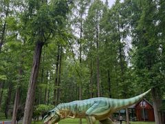 -黄海国家森林公园