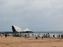 -碧海金沙