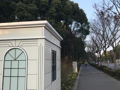 -新江湾城公园
