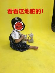 点击看大图 -YUEYAR PHOTO摄影