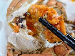 -东鸽皇(奥园·中环广场店)