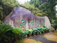 -荷塘月色湿地公园·向阳花洲