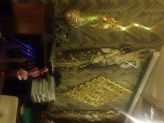 picture-Siam泰餐厅(水上公园店)