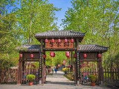 -合肥滨湖国家森林公园