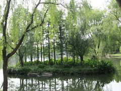 -上海汽车博览公园-北门停车场