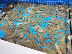 -渔港甄宴·海鲜·地标烟台菜(金沙滩店)