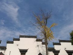 -普洱茶府(博乐广场店)