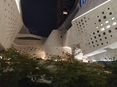 -南京国际青年文化中心