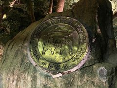 -溪口-滕头旅游景区