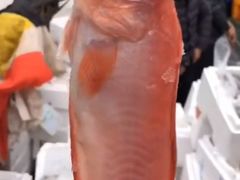 -浦商菜市场·锦德店