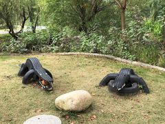 -前小桔亲子创意农场·草莓采摘·露营烧烤