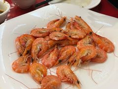 -南燕湾渔家码头