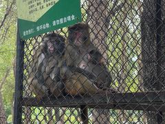 -长白岛森林公园