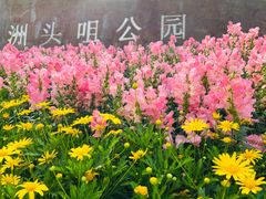 -洲头咀公园