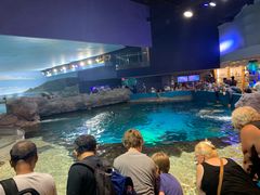 -瑞普利水族馆
