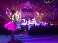 -珠海横琴长隆《卡卡虎奇遇记》