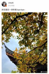 -颐和芥子园酒店·宴会厅