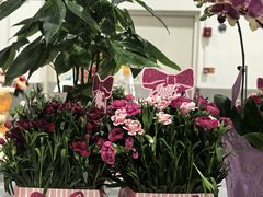 -山姆会员商店(上海浦东店)