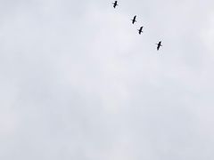 -仙海旅游度假区