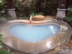 -明月山天沐温泉度假村