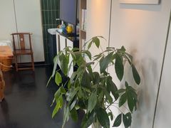 -巧功夫推拿·采耳·疼痛调理(蔚然中心店)