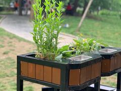 -贵阳市花溪国家城市湿地公园