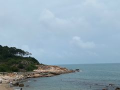 -广东惠东海龟国家级自然保护区