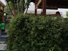 -二荆条·蜀鲜汇城市森林火锅