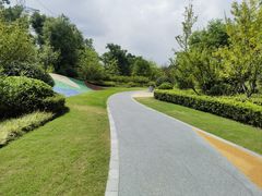 -昆山城市生态森林公园