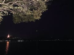 -杭州西湖柳莺里酒店·闻莺厅