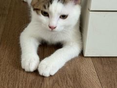 -美联众合动物医院·24h京西诊疗中心