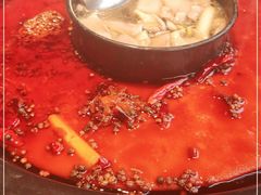 -陈眼镜火锅(总店)