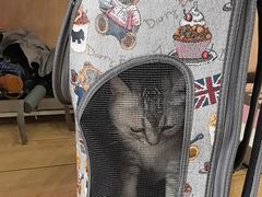 -瑞派·关忠动物医院猫科外科·异宠·24小时转诊中心(祥云店)