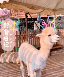 -萌宠亲子动物乐园(槐房万达店)