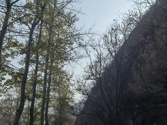 -百里山水画廊
