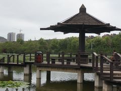 -前关湿地公园