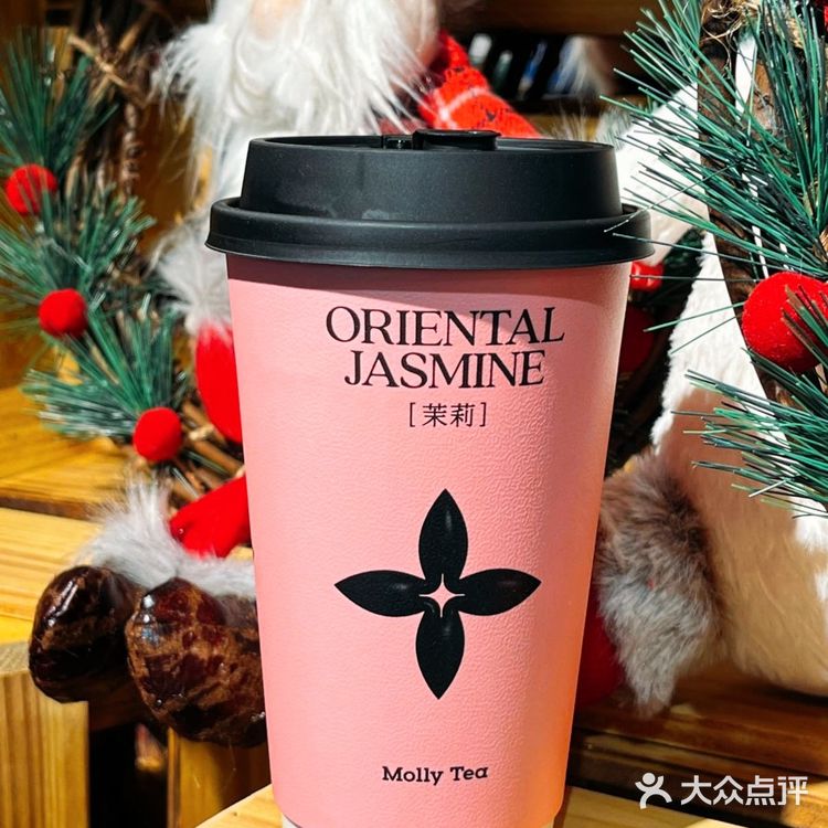 2024年的尾巴，和茉莉奶白一起…