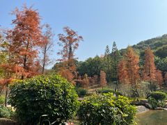 -云溪植物园