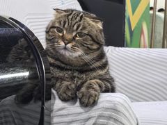 -新新潘晓婷台球俱乐部(周浦店)