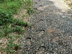 -众神白水涧景区